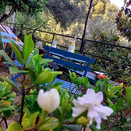 B&B I Glicini Vescina Exterior photo