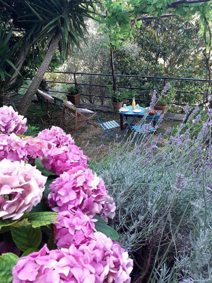 B&B I Glicini Vescina Exterior photo