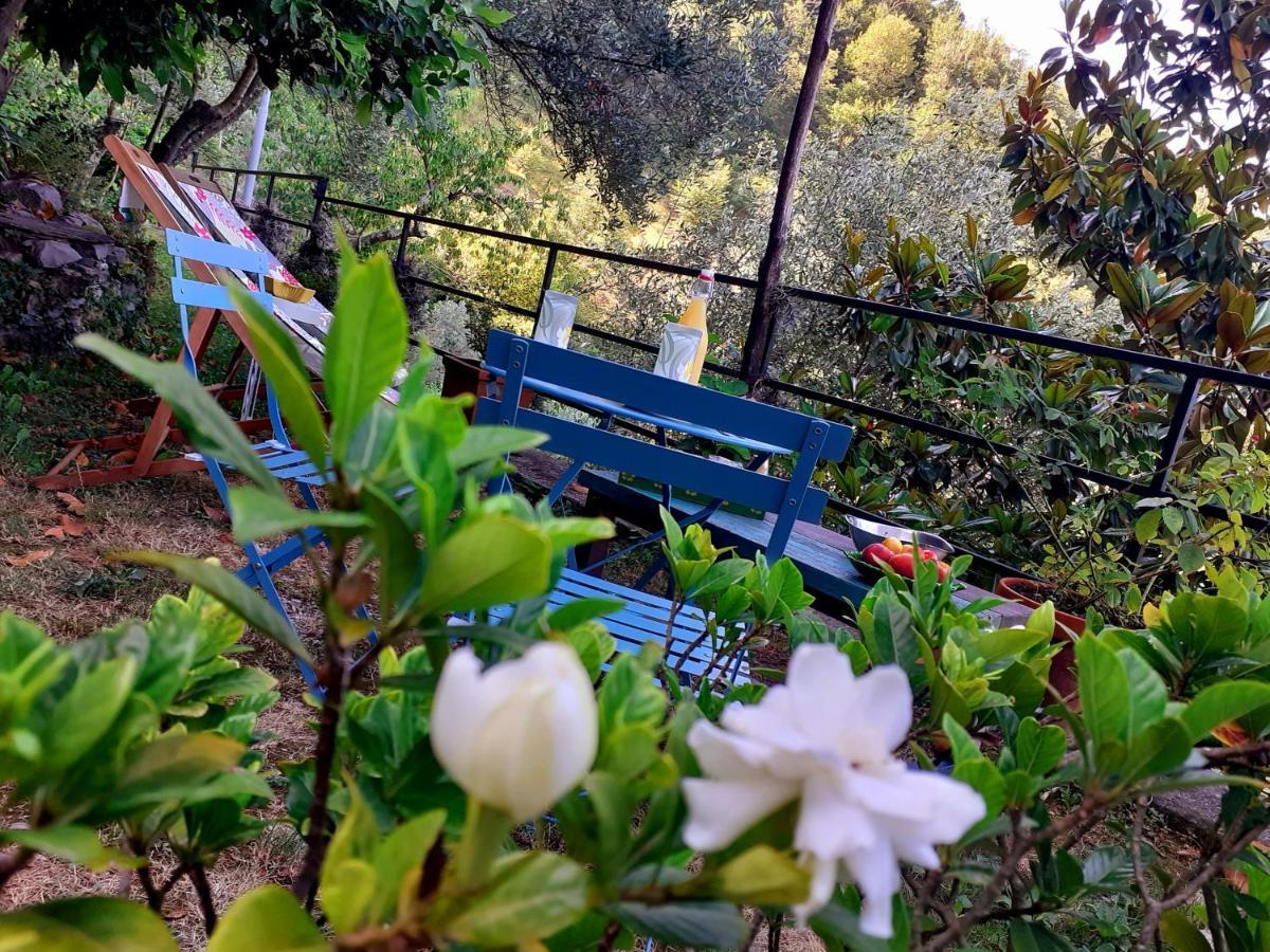 B&B I Glicini Vescina Exterior photo