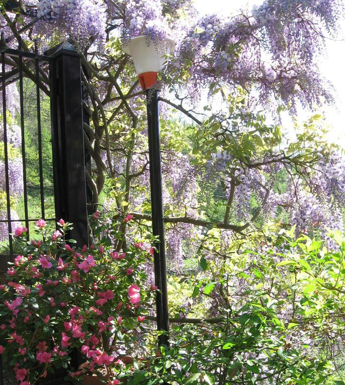 B&B I Glicini Vescina Exterior photo
