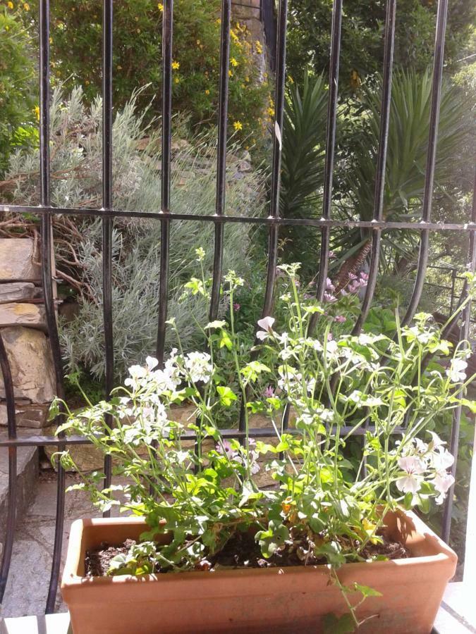 B&B I Glicini Vescina Exterior photo