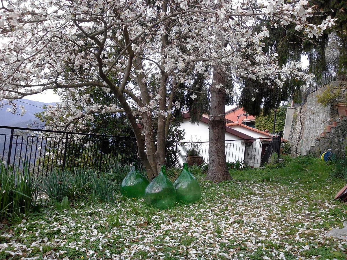 B&B I Glicini Vescina Exterior photo