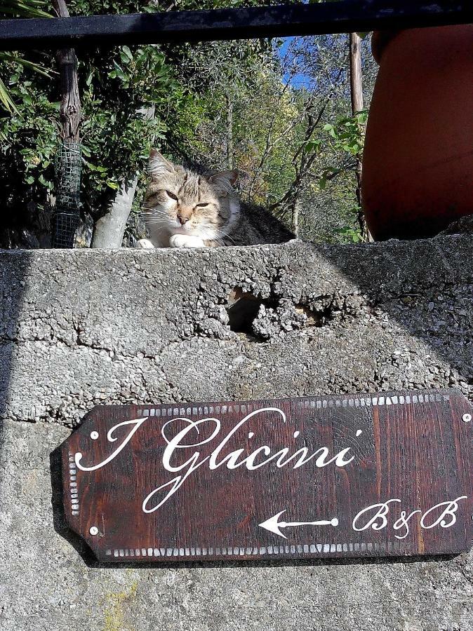 B&B I Glicini Vescina Exterior photo